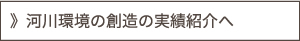 河川環境の創造の実績紹介へ